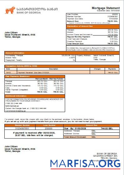 Realistic Georgia Bank of Georgia bank mortgage statement scr sample
